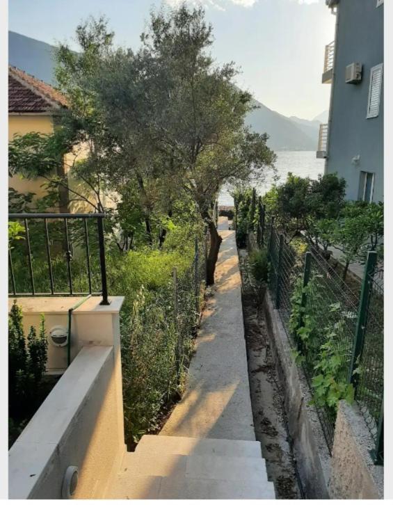 Apartments Boka Blue Dobrota קוטור מראה חיצוני תמונה